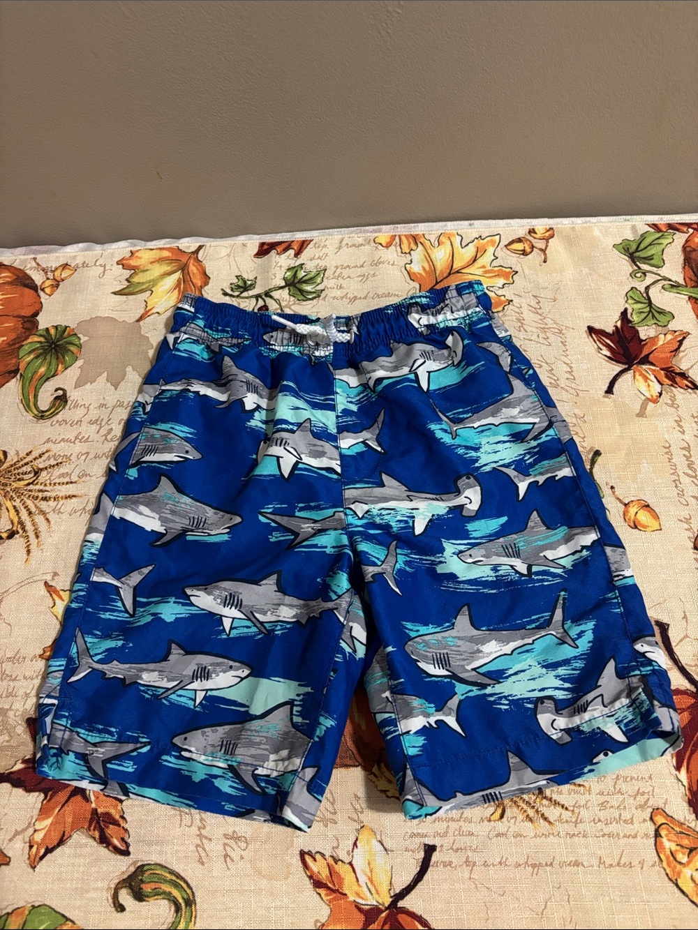 The Children's Place Sport Blue Print Swim Trunks - 5T